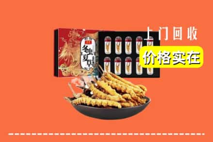 黔西南州普安回收冬虫夏草